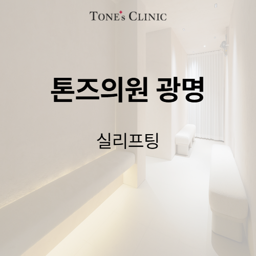 실리프팅